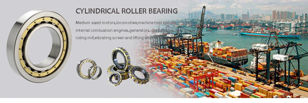 NU410M High Quality Cylindrical Roller Bearing for Electromechanical Equipment/Plastic Machinery